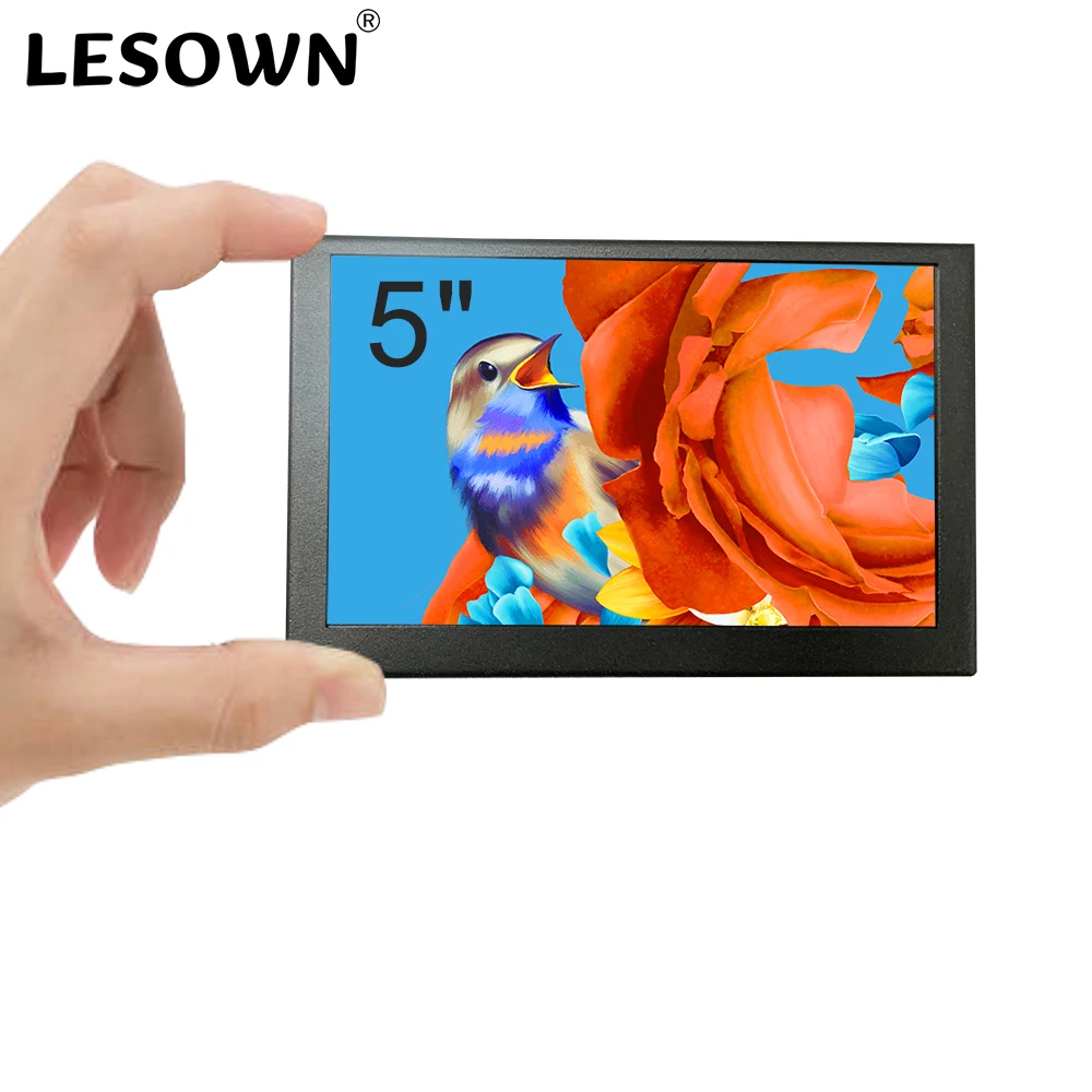 LESOWN 5 Inch Mini Monitor IPS - Gaming Monitor Curved review and price